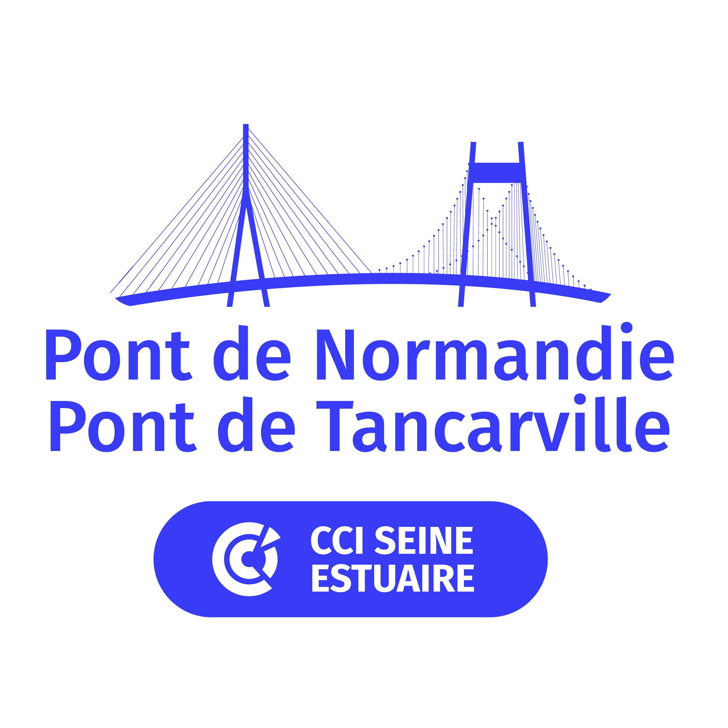 Logo Ponts