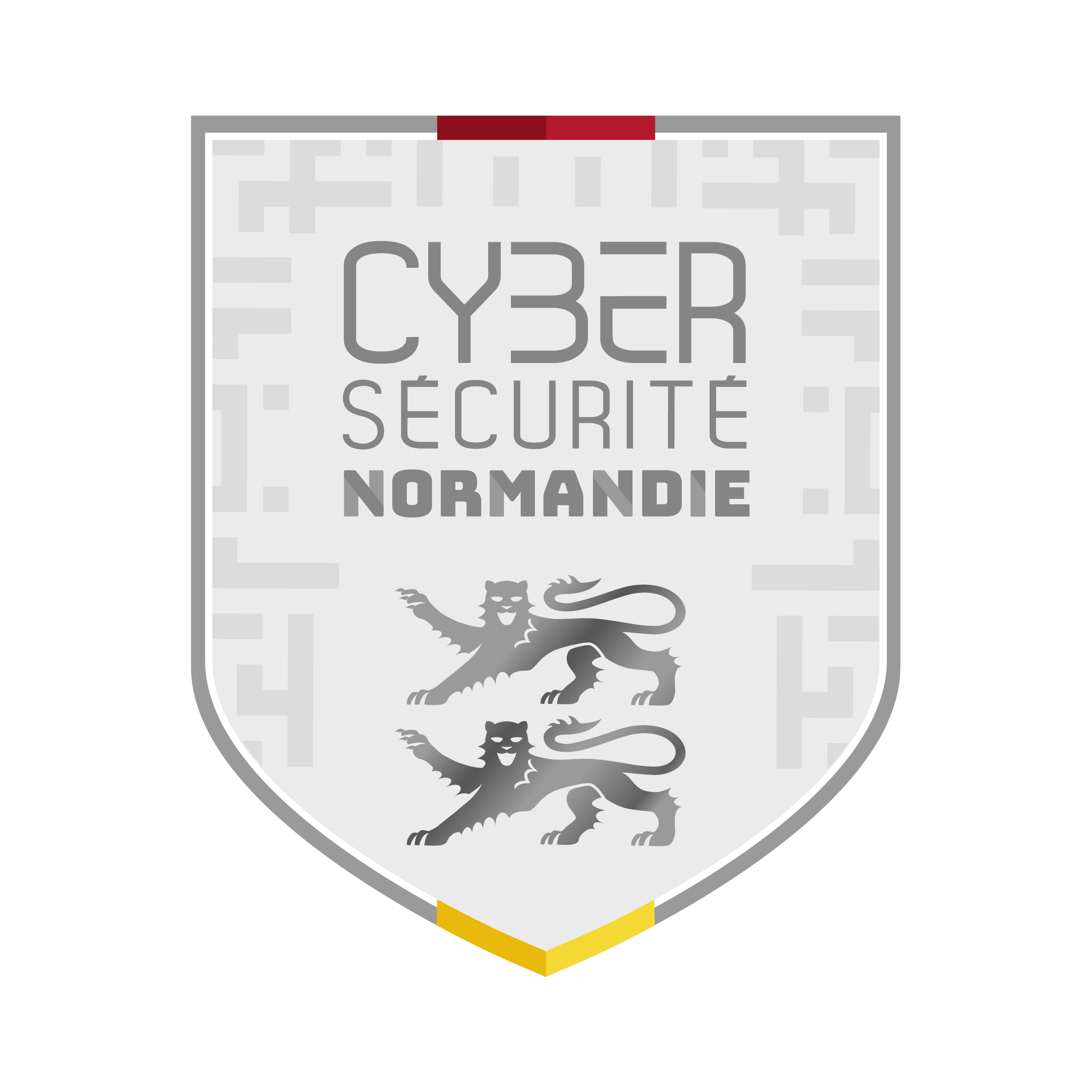 Charte cybersécurité des prestataires informatiques et numériques en Normandie