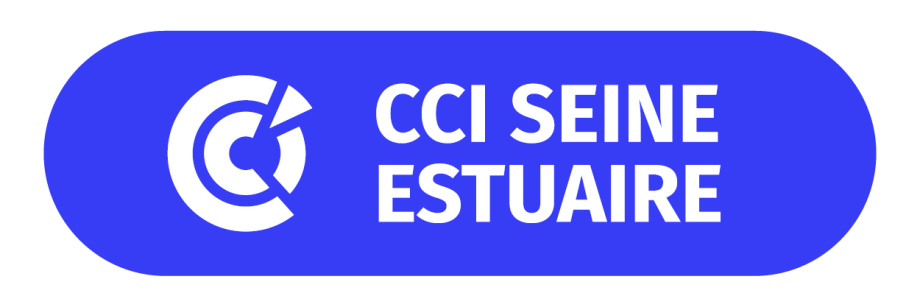Logo CCITSE
