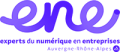 Experts du numérique en entreprises 