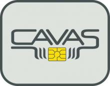 cavas_logotype.jpg