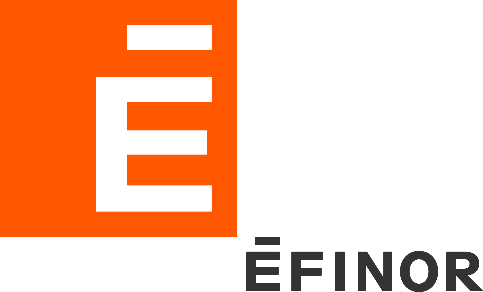 logo EFINOR