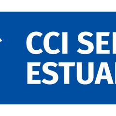 Logo CCITSE