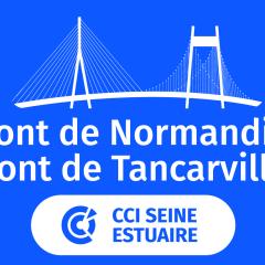 Logo Ponts