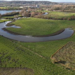 aménagement paysager